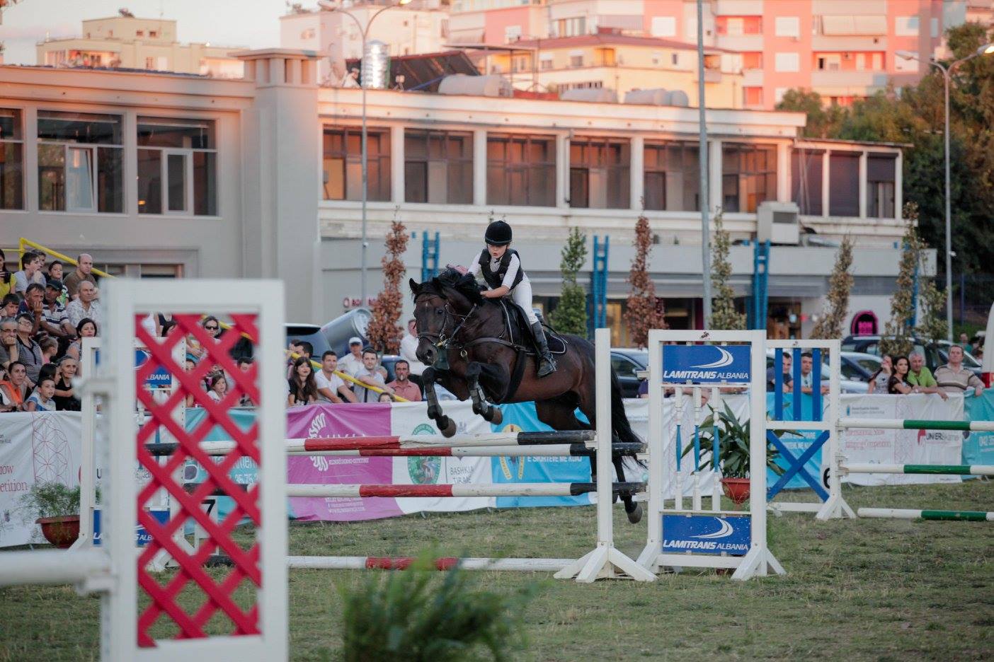 13698092_10154371279671926_8742272498614799222_o