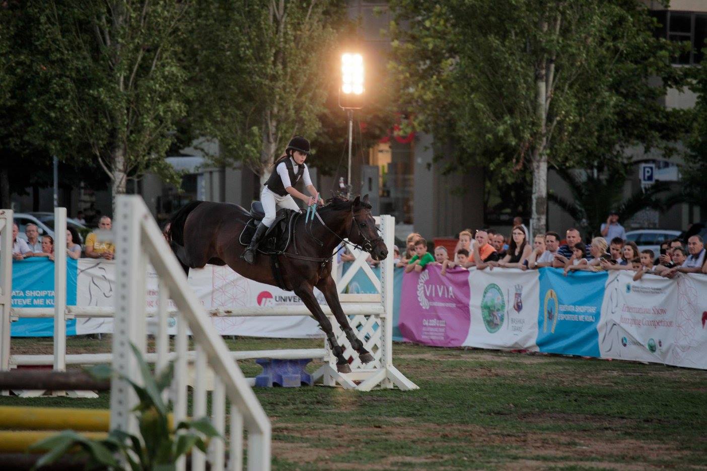 13724017_10154371279201926_4271713662228780623_o