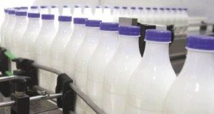 qumesht-milk-1_opt-300x160